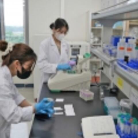 Quy định về Quỹ đầu tư mạo hiểm quốc gia: Thể chế hóa dòng vốn cho đổi mới sáng tạo