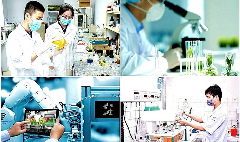 Đề xuất sửa đổi toàn diện Luật Khoa học và Công nghệ thúc đẩy khoa học và đổi mới sáng tạo - Ảnh 1. Đề xuất sửa đổi toàn diện Luật Khoa học và Công nghệ thúc đẩy khoa học và đổi mới sáng tạo - Ảnh 1.